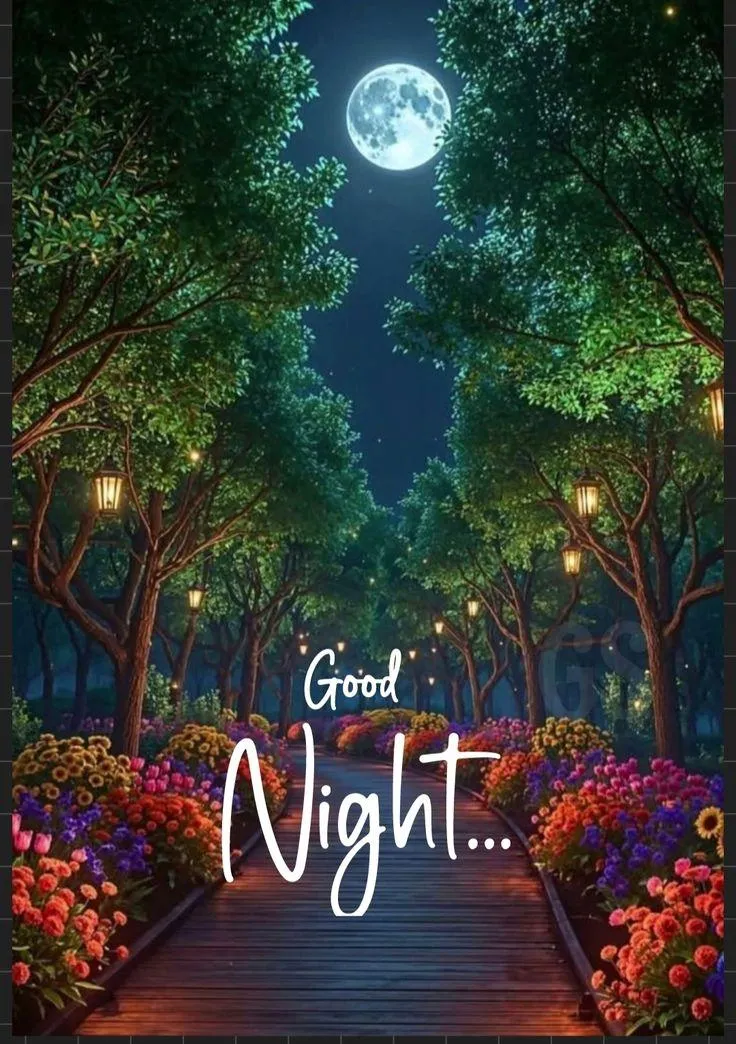 Night Sky Full of Stars to End Your Day in Peace Image