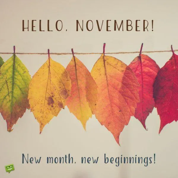 November Welcome with Colorful Falling Leaves Wallpaper