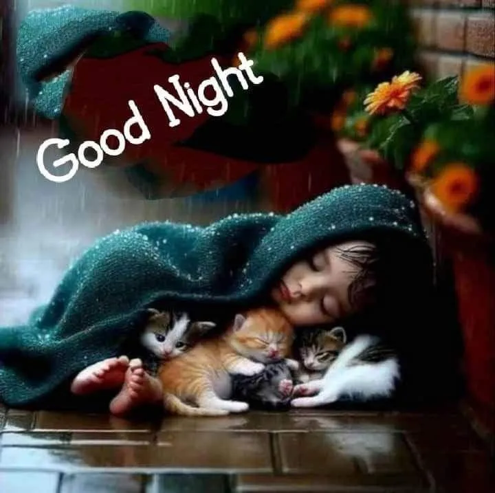 Ocean Waves and Moon Giving Good Night and Dreams Photo