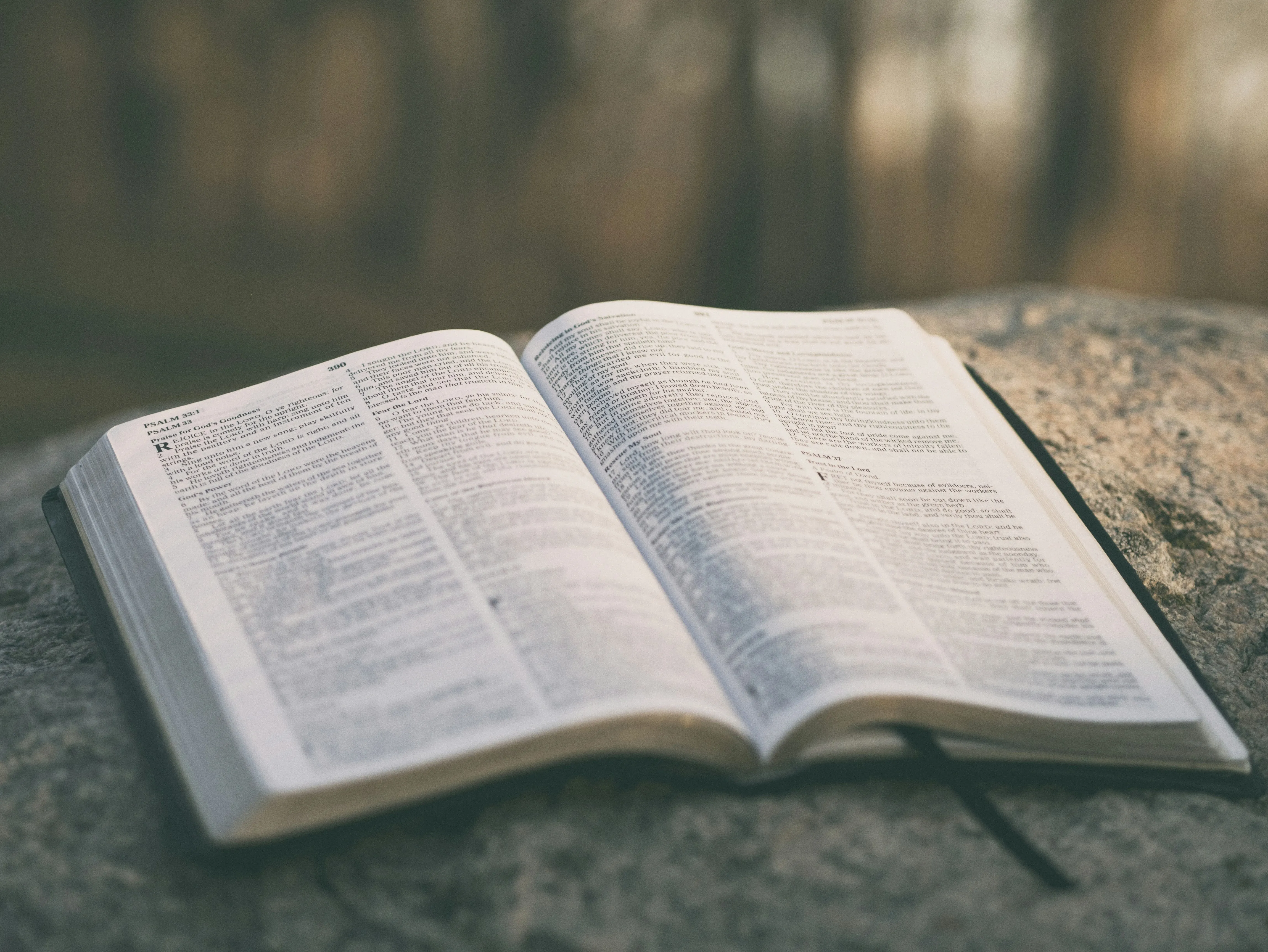 Open Bible on Ground Reflects Knowledge and Calm Wallpaper