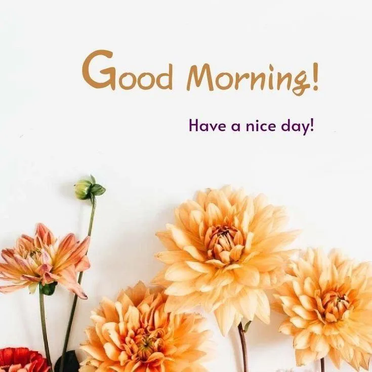 Orange Flower Bouquet Sending Sweet Morning Wishes