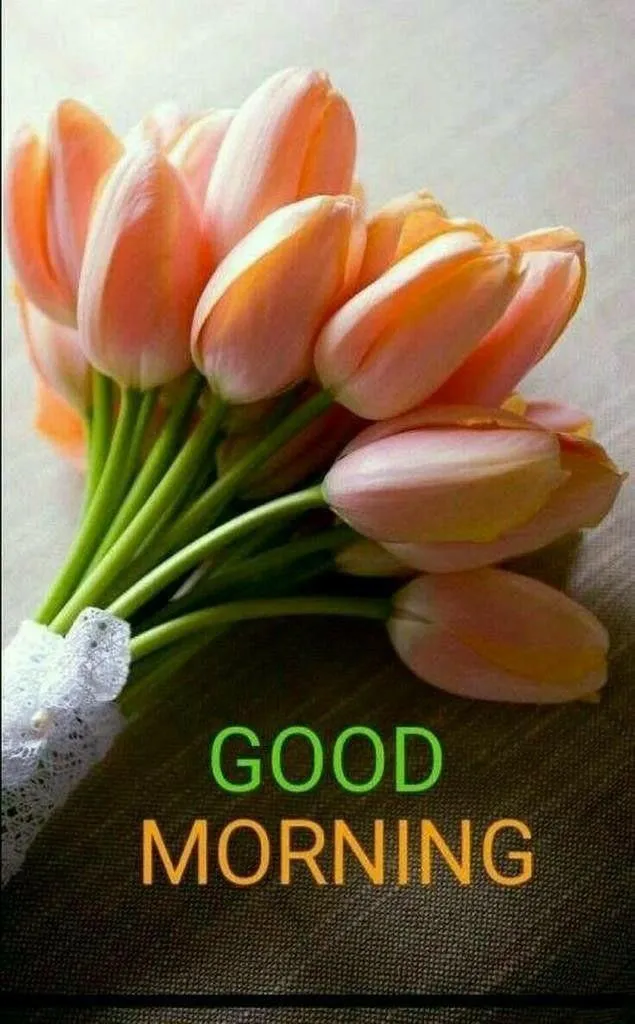 Orange Tulips in Glass with Fresh Morning Message Image
