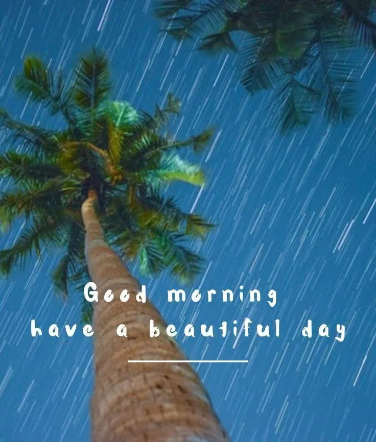 Palm Tree Scene with a Quote for Positive Morning Vibes