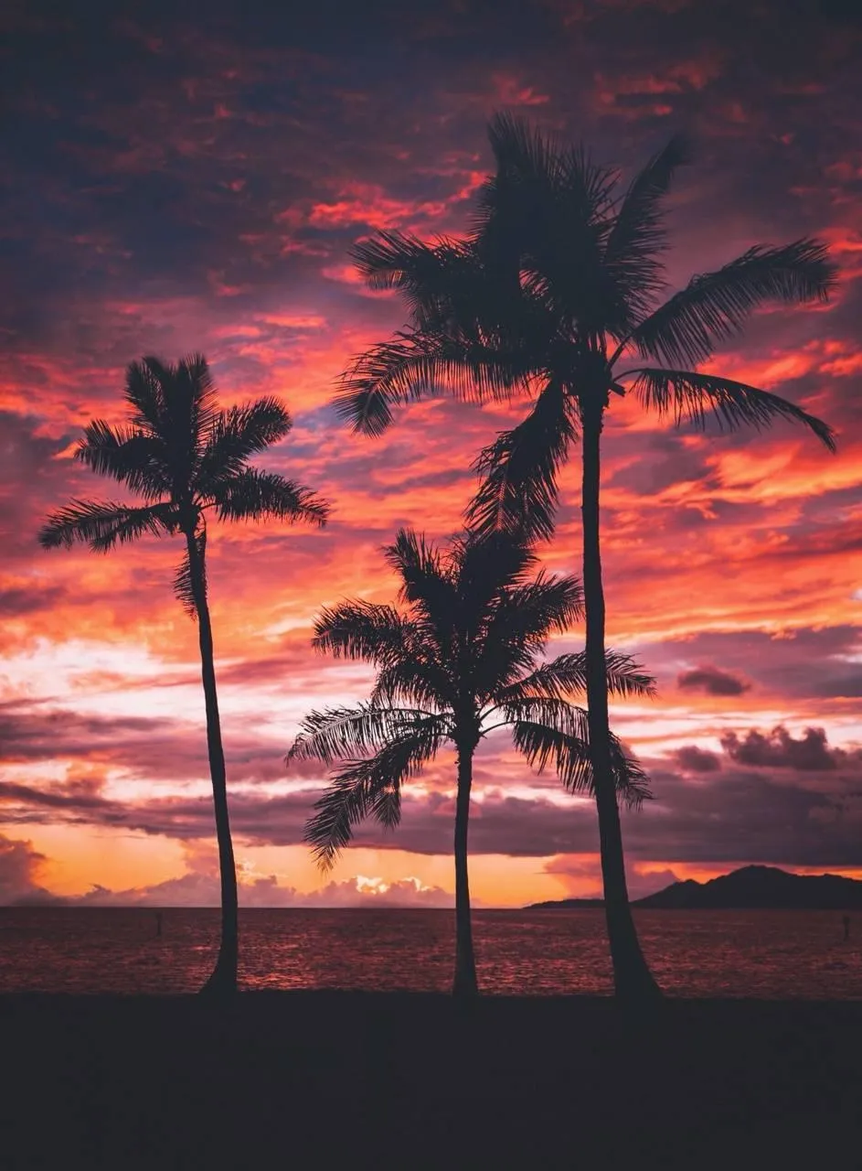 Palm Trees in Fiery Sunset of Tropical Love Wallpaper
