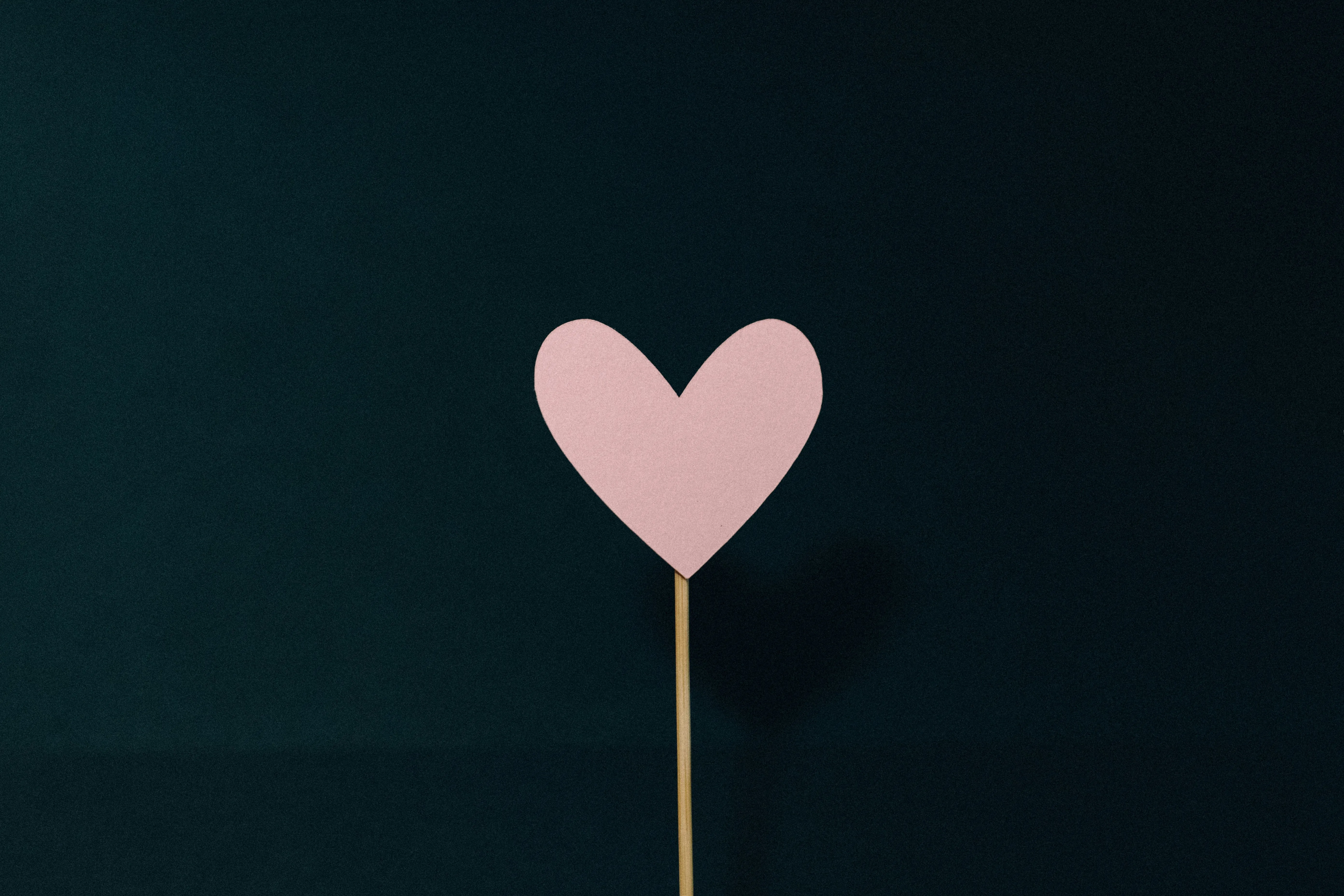 Paper Heart on Stick Against Dark Background Wallpaper
