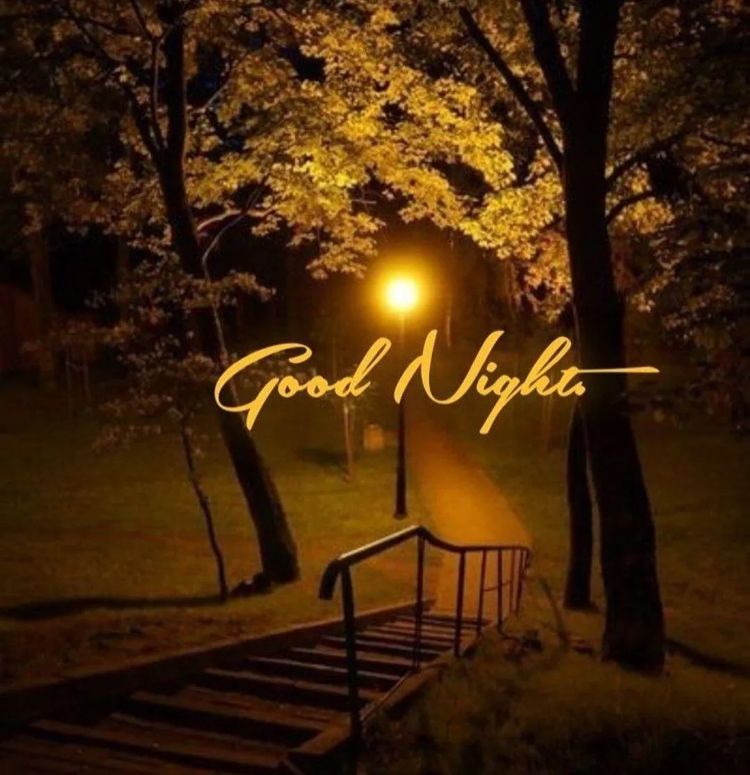 Pathway with Morning Light Offering Gentle Sunshine