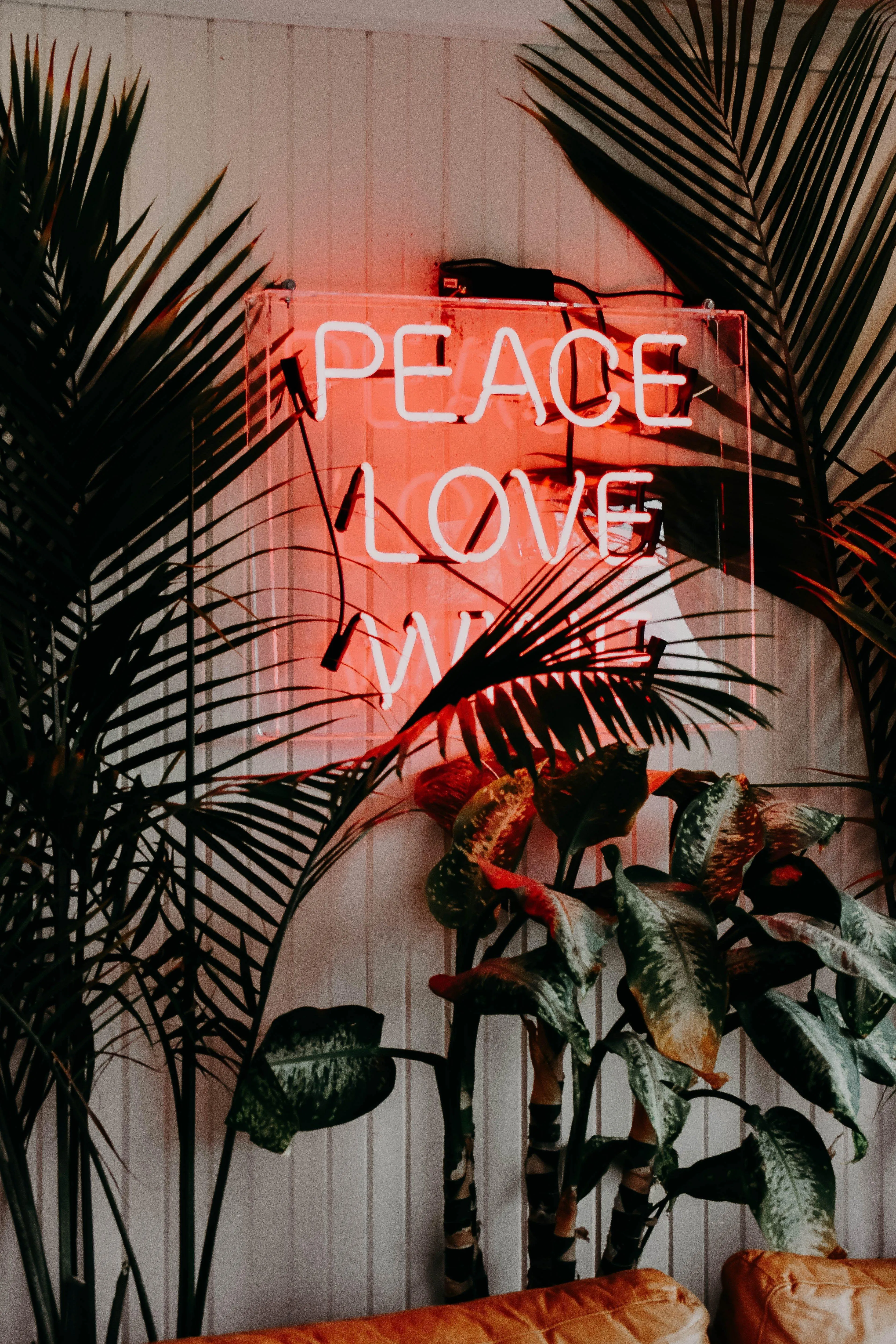 Peace Love and Warm Vibes in Cozy Tropical Room Wallpaper