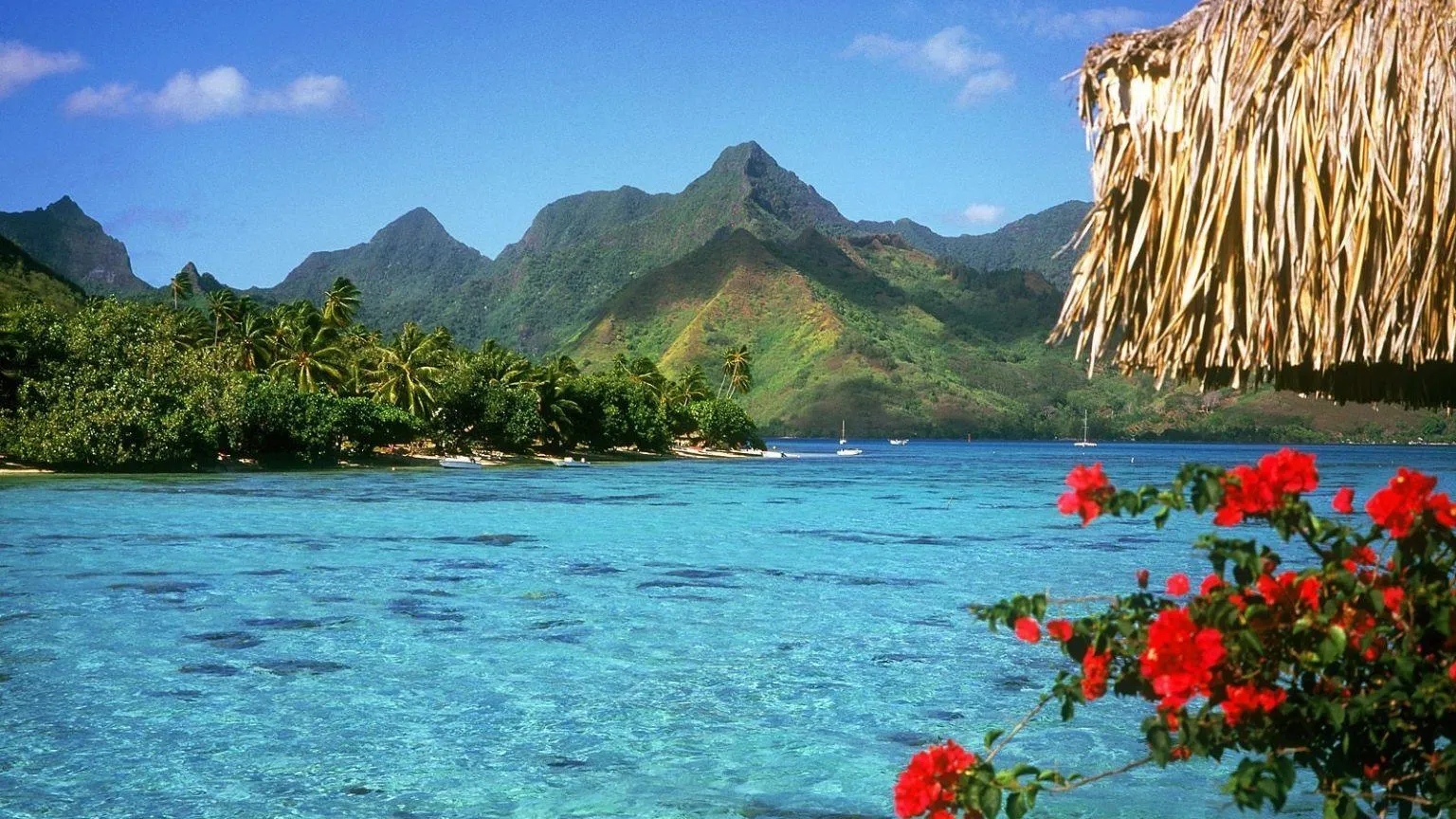 Peaceful Beach Landscape Representing Calm Love Wallpaper