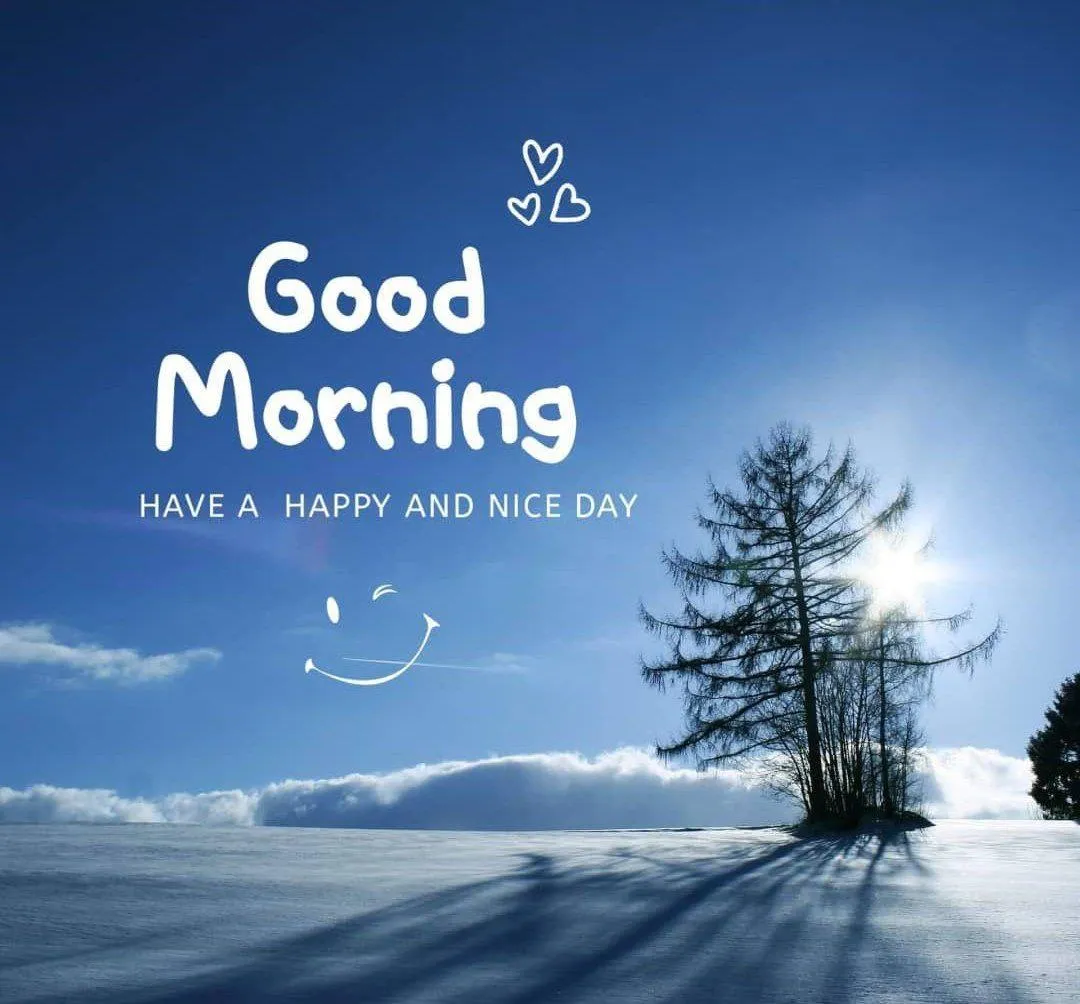 Peaceful Blue Sky and Tree Greeting a Calm Morning