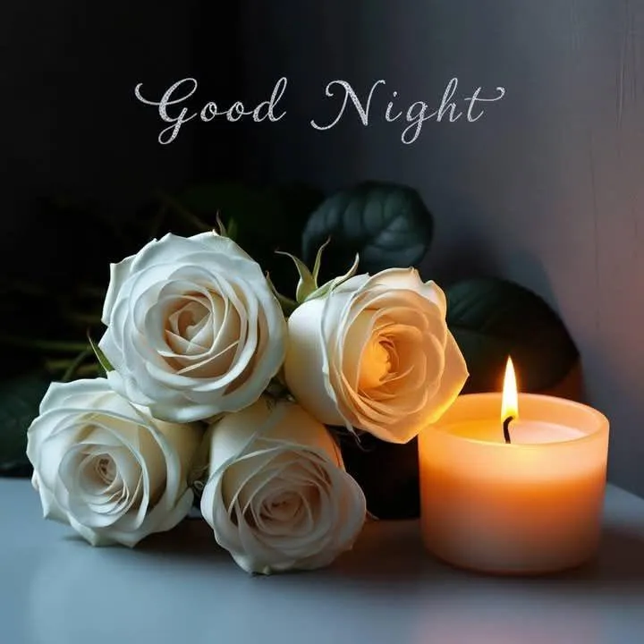 Peaceful Candle Roses for a Quiet and Reflective Night