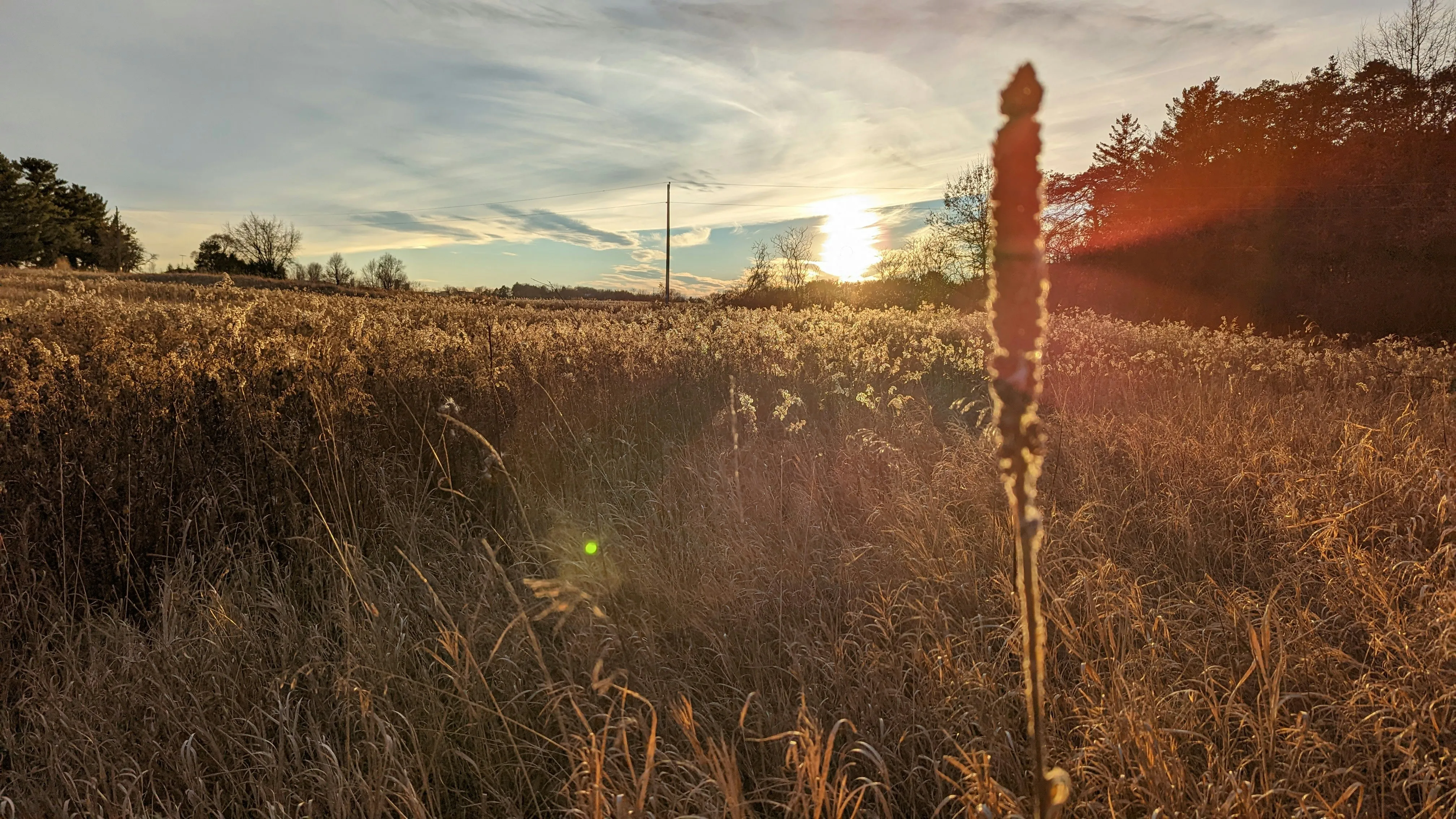 Peaceful Countryside Sunset with Wooden Fence View Wallpaper