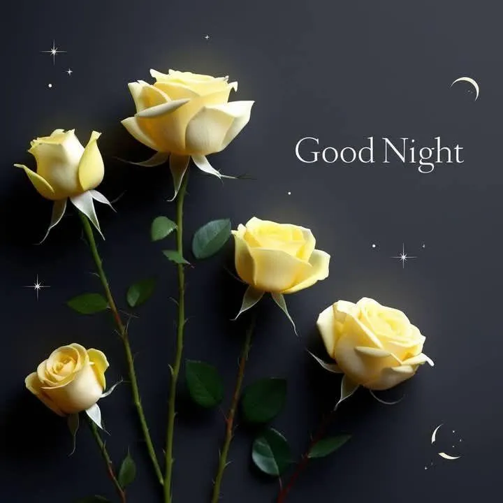 Peaceful Good Night Wishes with Yellow Roses Bloom