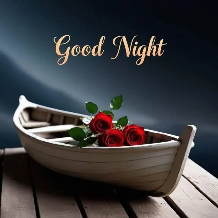 Peaceful Good Night with Rose on Boat By Calm Water