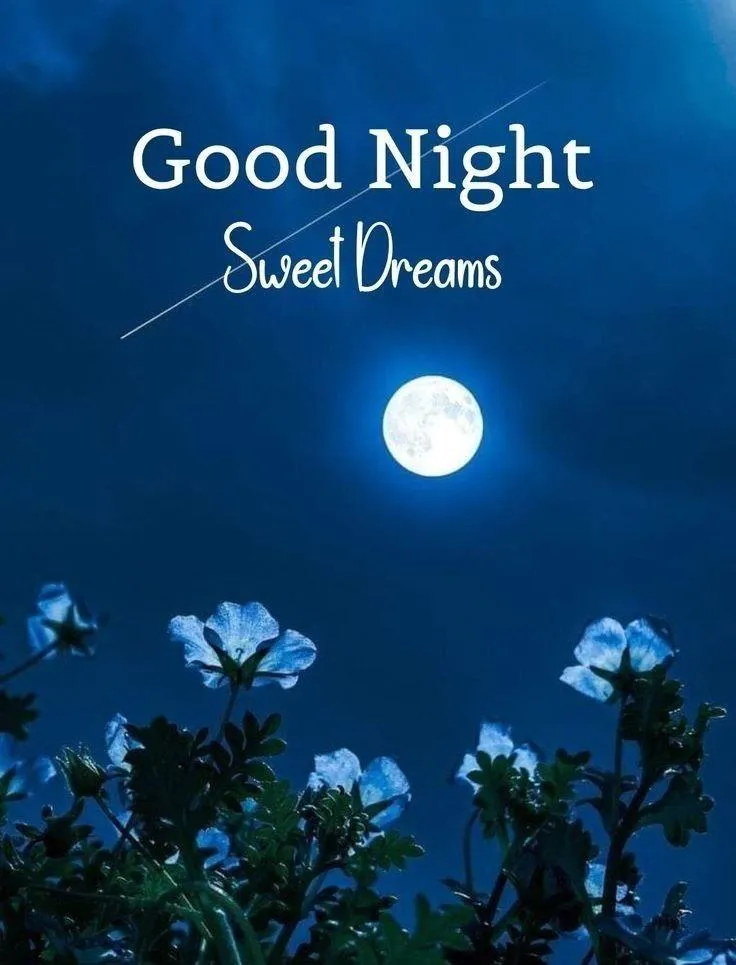 Peaceful Night Scene with Stars for a Restful Sleep