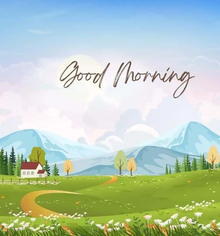 Peaceful Sunrise Field Clears the Mind and Energizes Heart