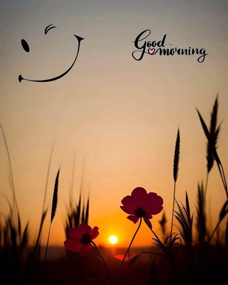 Peaceful Sunrise to Inspire a Mindful Morning Hd Image