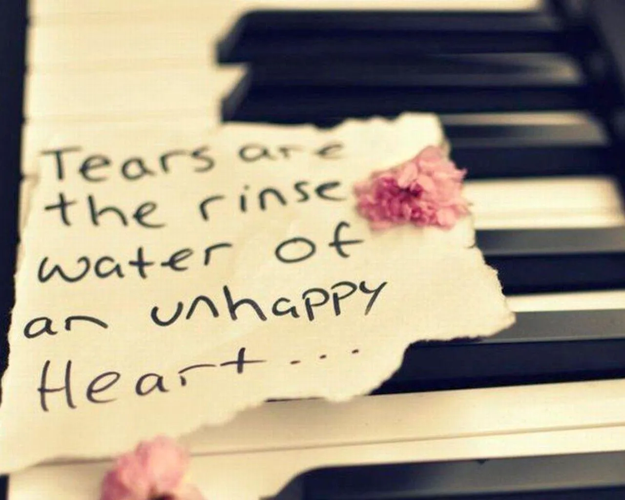 Piano Love Quote Emotional Background HD Wallpaper