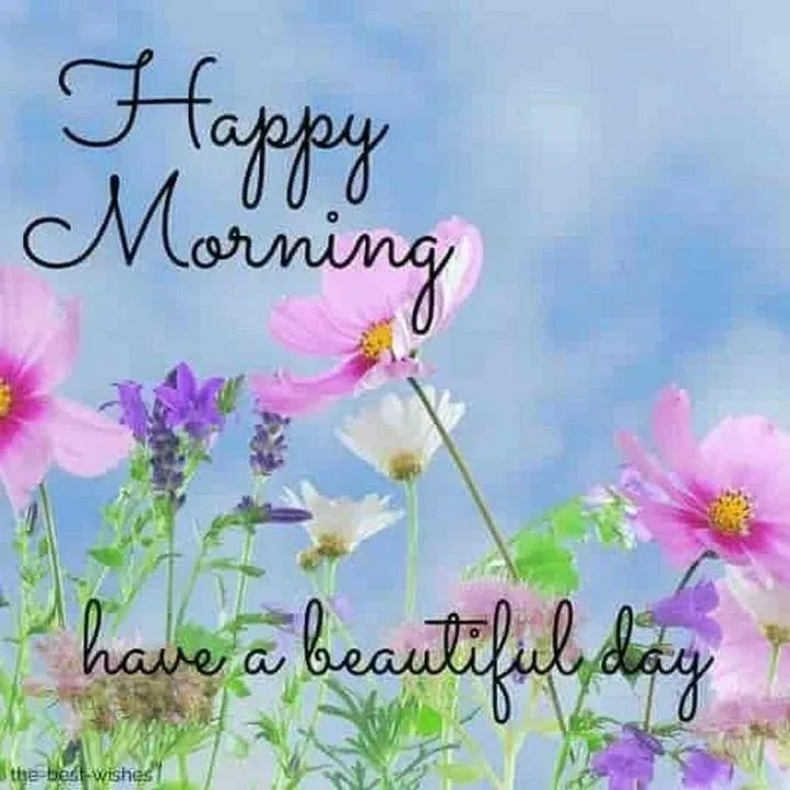 Pink and Purple Flowers with Happy Morning Greeting