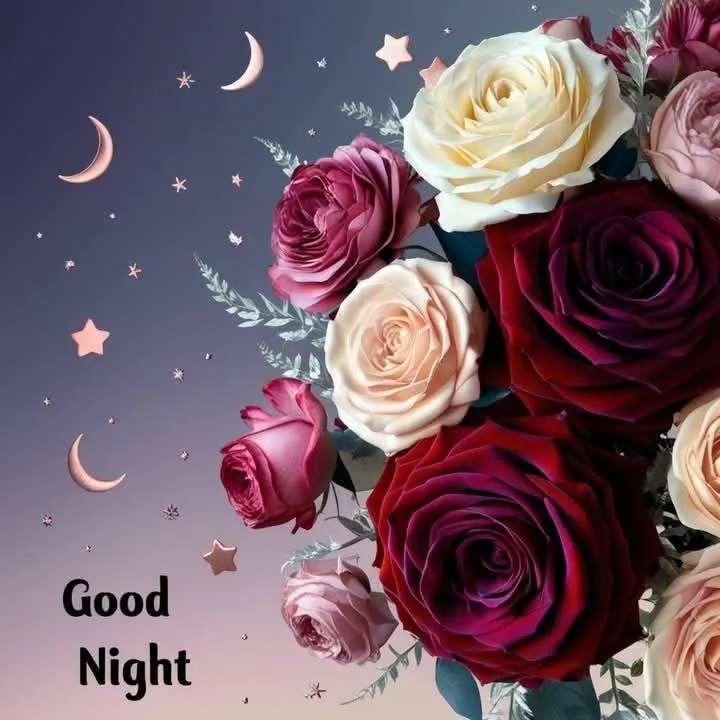 Pink and Red Roses with Sweet Good Night Blessings