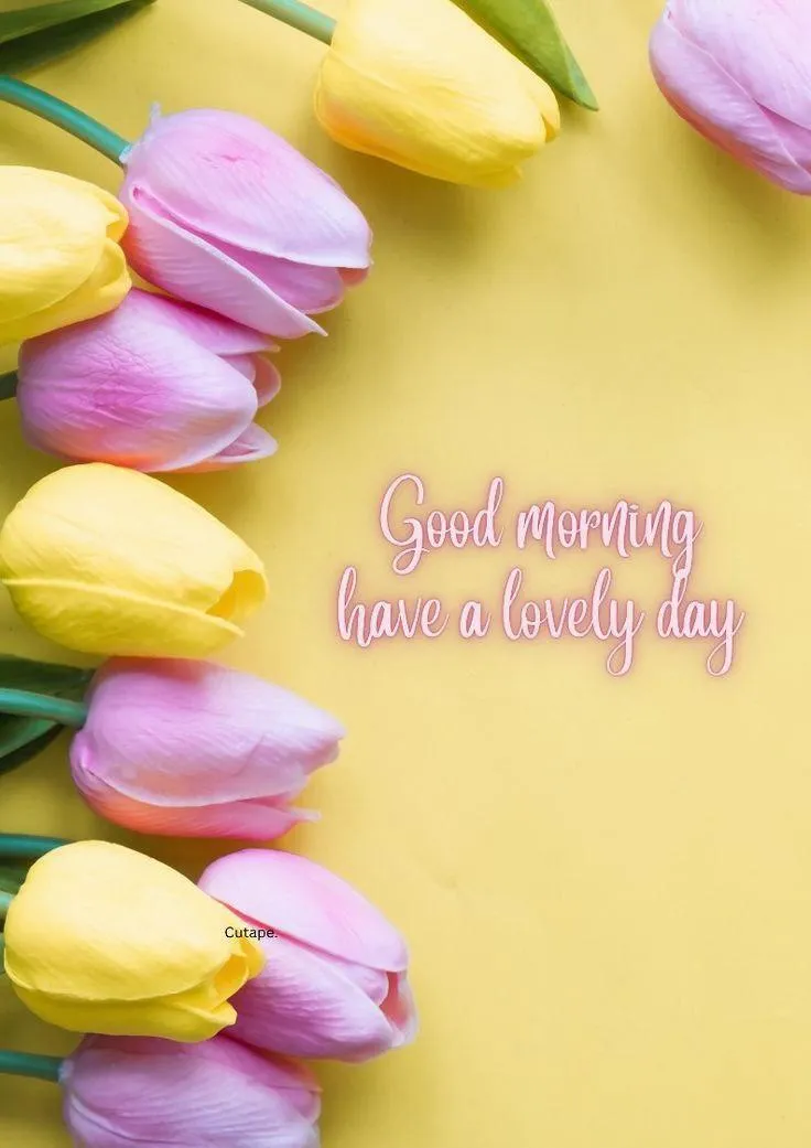 Pink and Yellow Tulips with Good Morning Text Wallpaper
