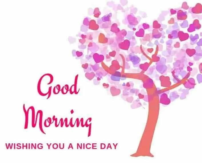 Pink Blossom Tree Sending Joyful Morning Wishes Image