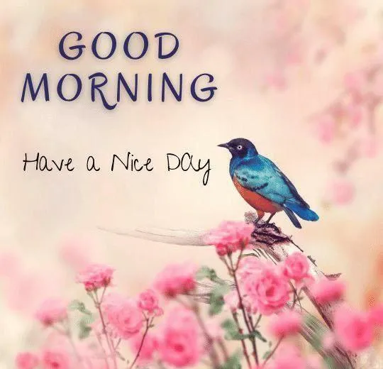 Pink Floral Background with Stylish Morning Typography