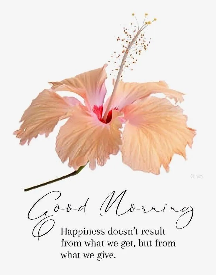 Pink Flower on White with Artistic Morning Typography