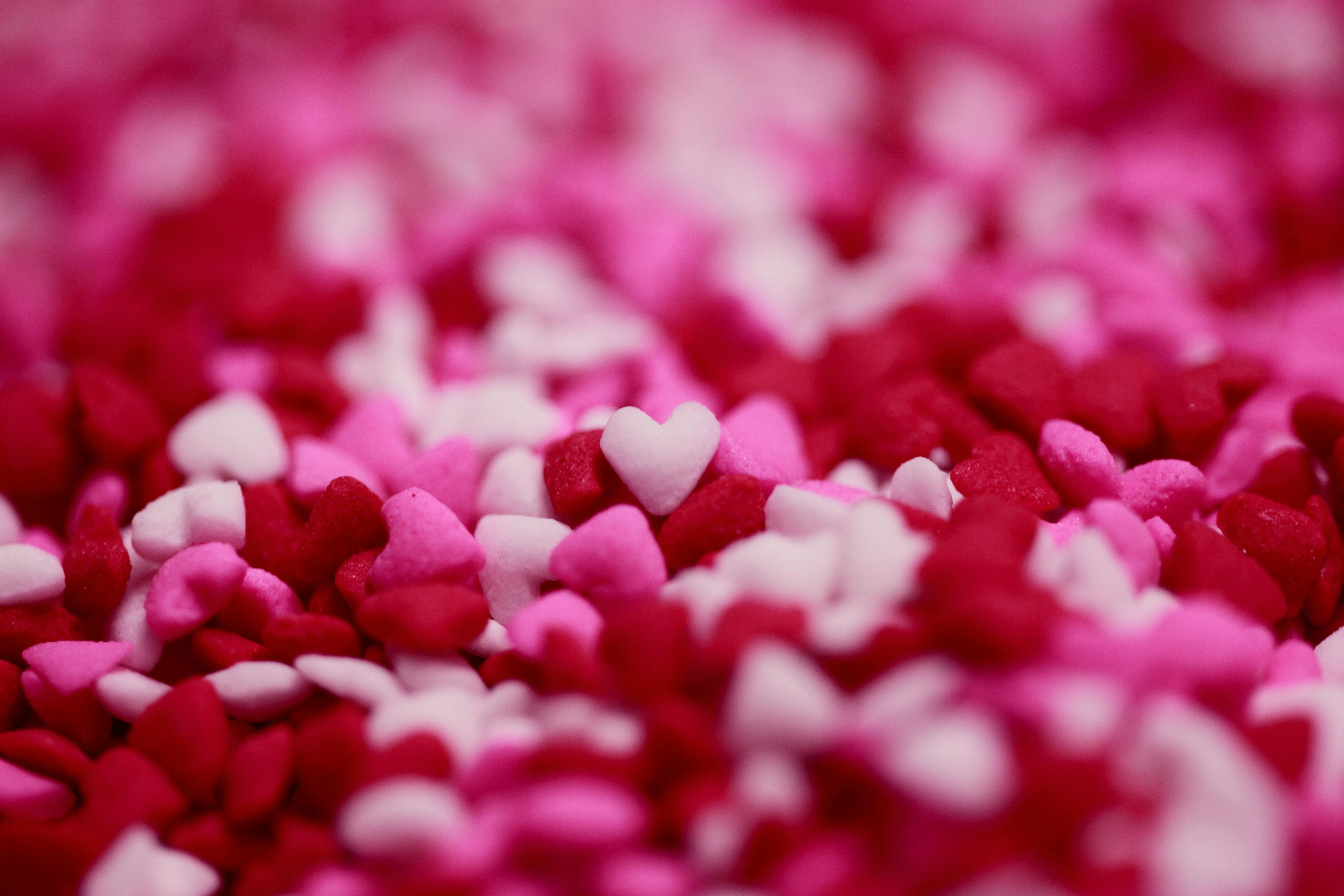 Pink Flower Petals Spread as a Symbol of Love Wallpaper