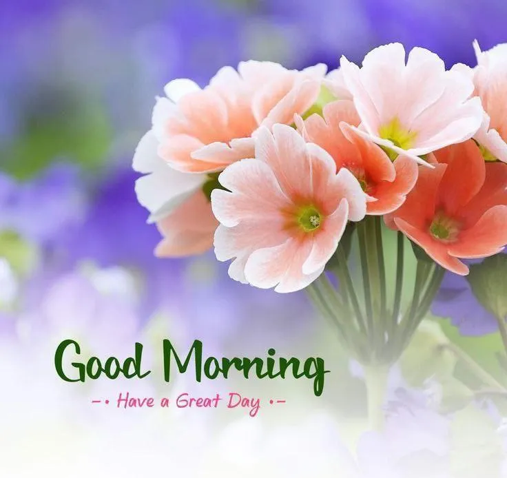 Pink Flowers and Message for a Beautiful Morning Image