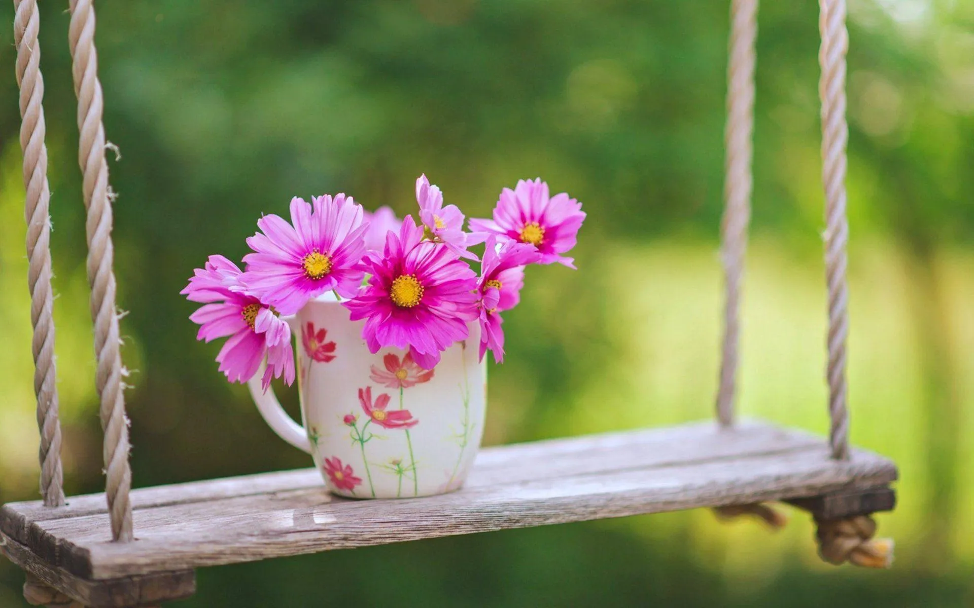 Pink Flowers in Pot on Swing Reflecting Love Joy Wallpaper