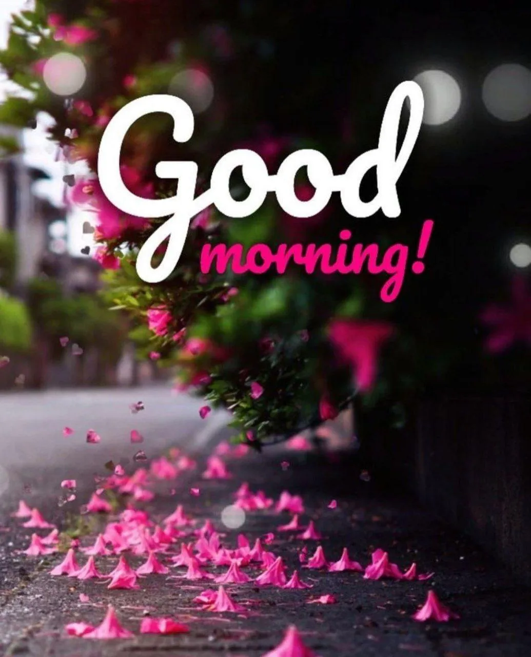 Pink Flowers Wishing a Lovely and Radiant Good Morning