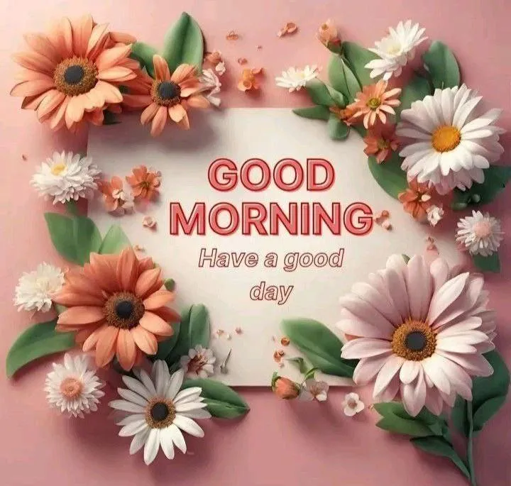 Pink Flowers with Good Morning Text Free Wallpaper