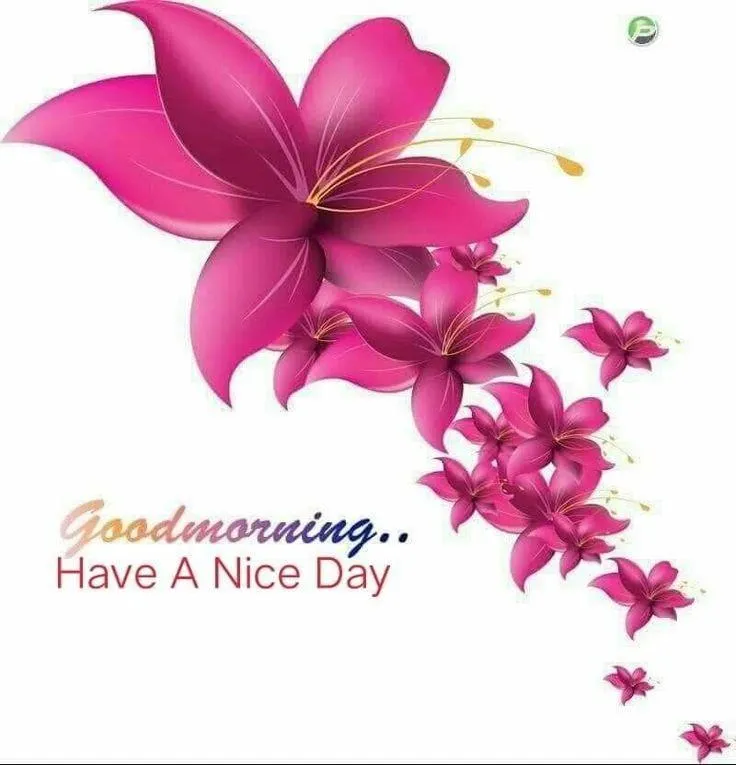 Pink Orchids with Encouraging Morning Greeting Wallpaper