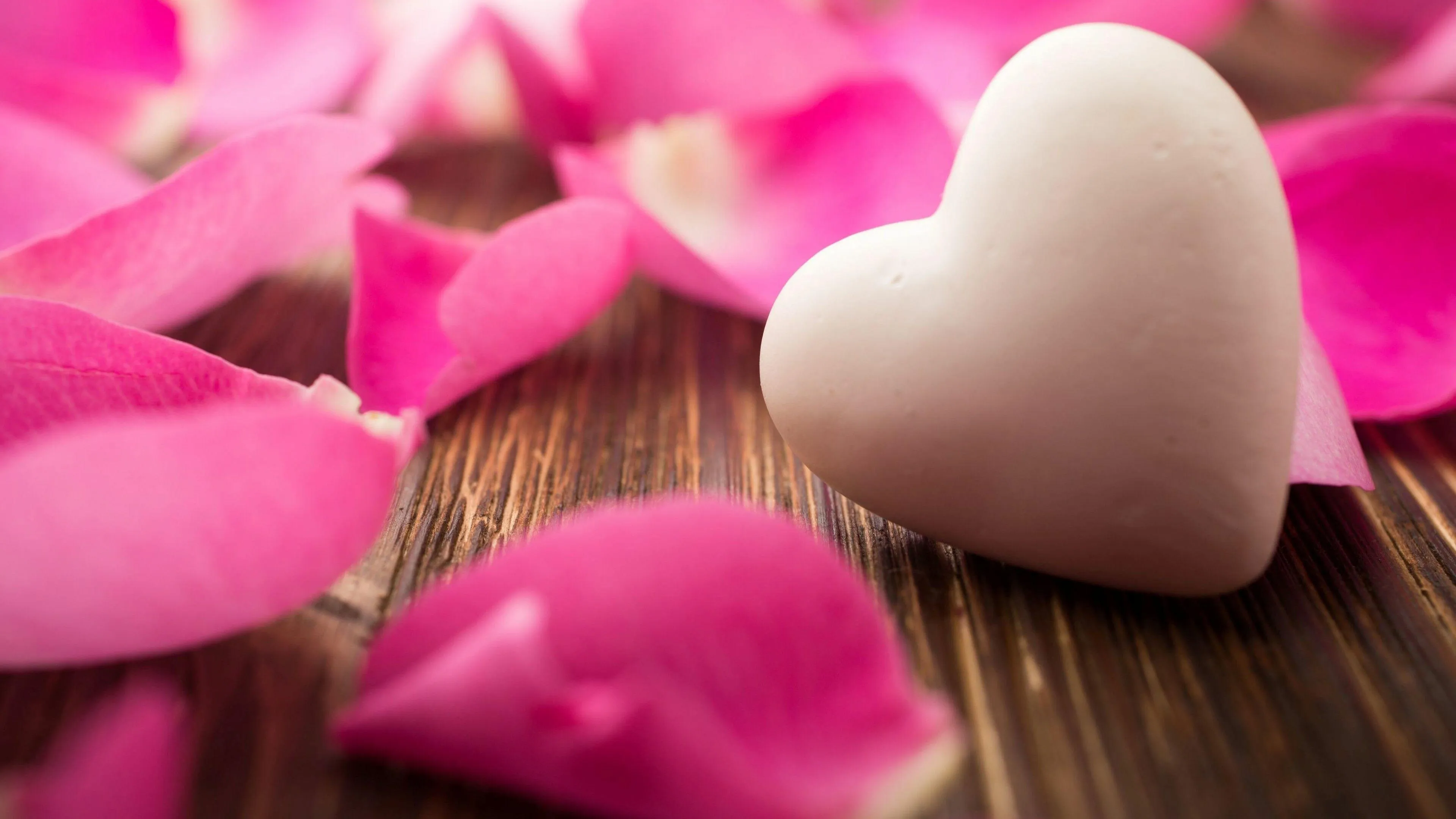Pink Petals Forming Heart of Tender Loving Care Wallpaper