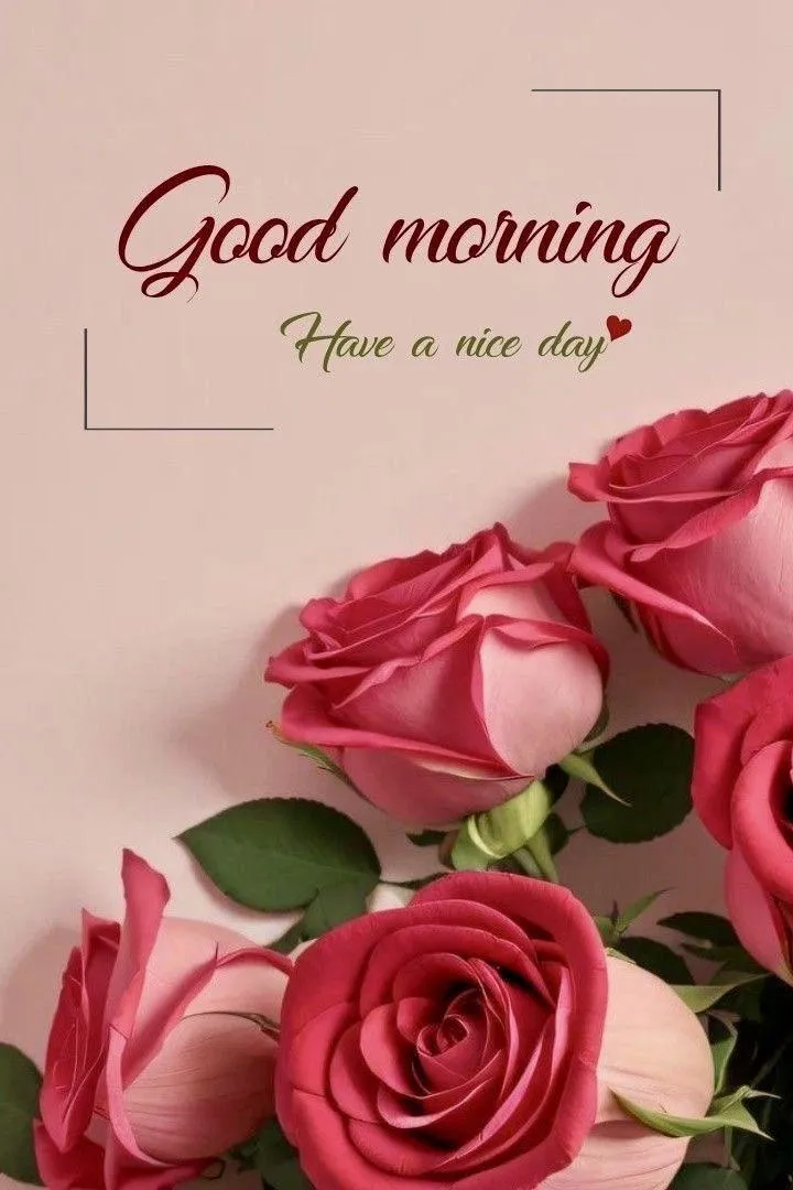 Pink Roses and Good Morning Quote on Elegant Card Image