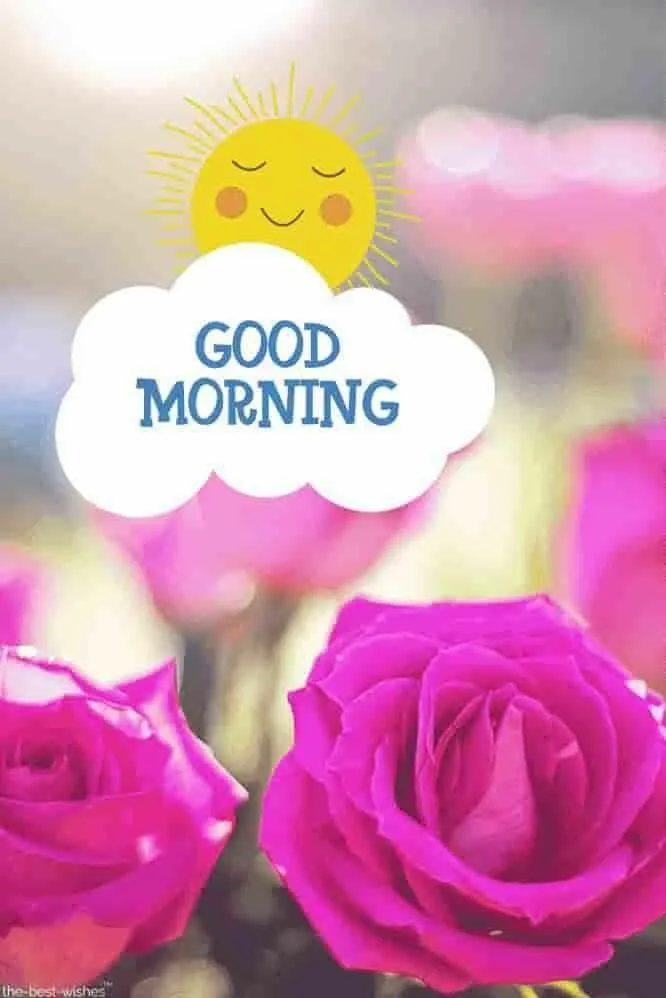 Pink Roses with Sweet Good Morning and Beautiful Day