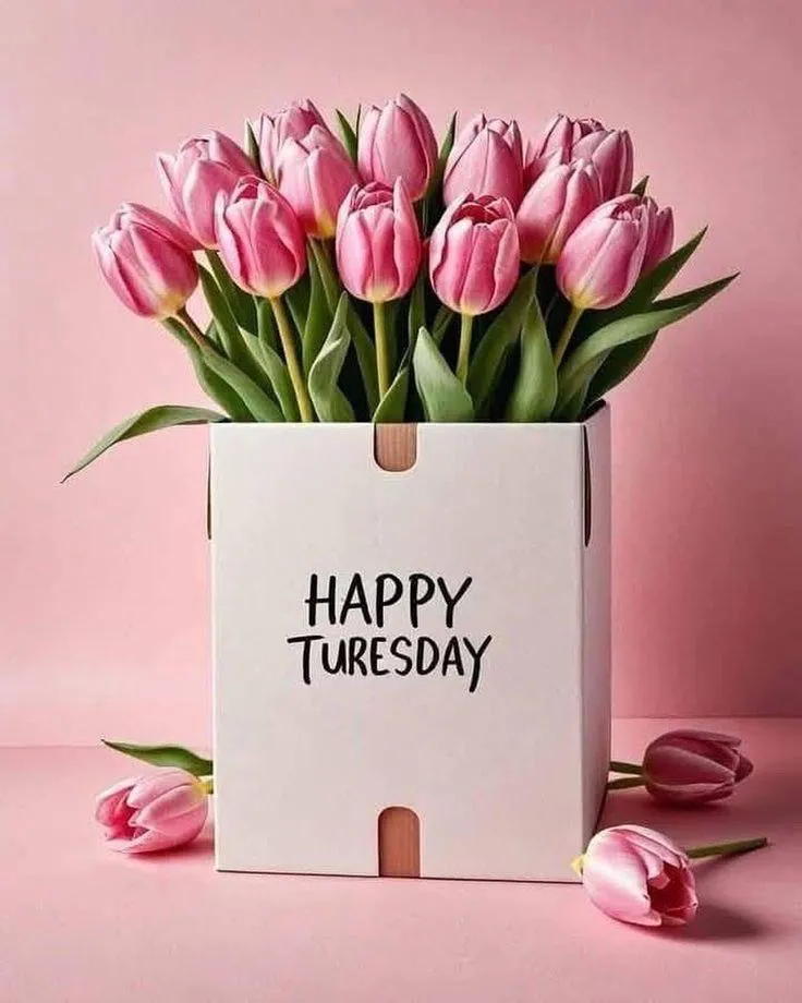 Pink Tulips with Heart Tag for Happy Sunday Wishes