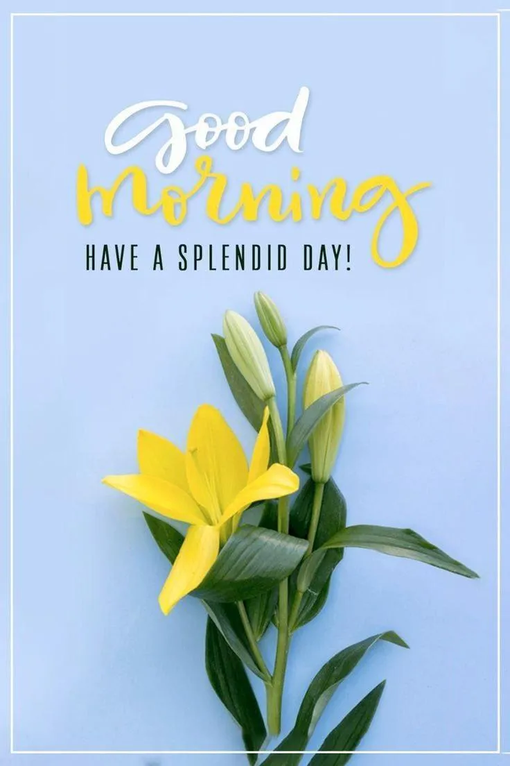 Positive Message with Blue Flower for Fresh Morning