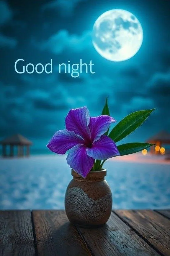 Purple Flower with Good Night Text Free Hd Wallpaper