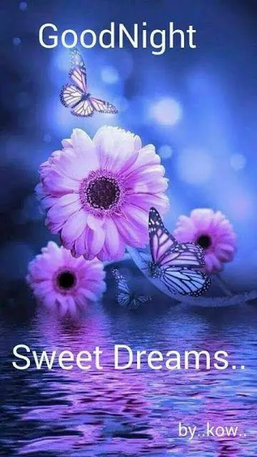 Purple Flowers Glowing with Soft Good Night Message
