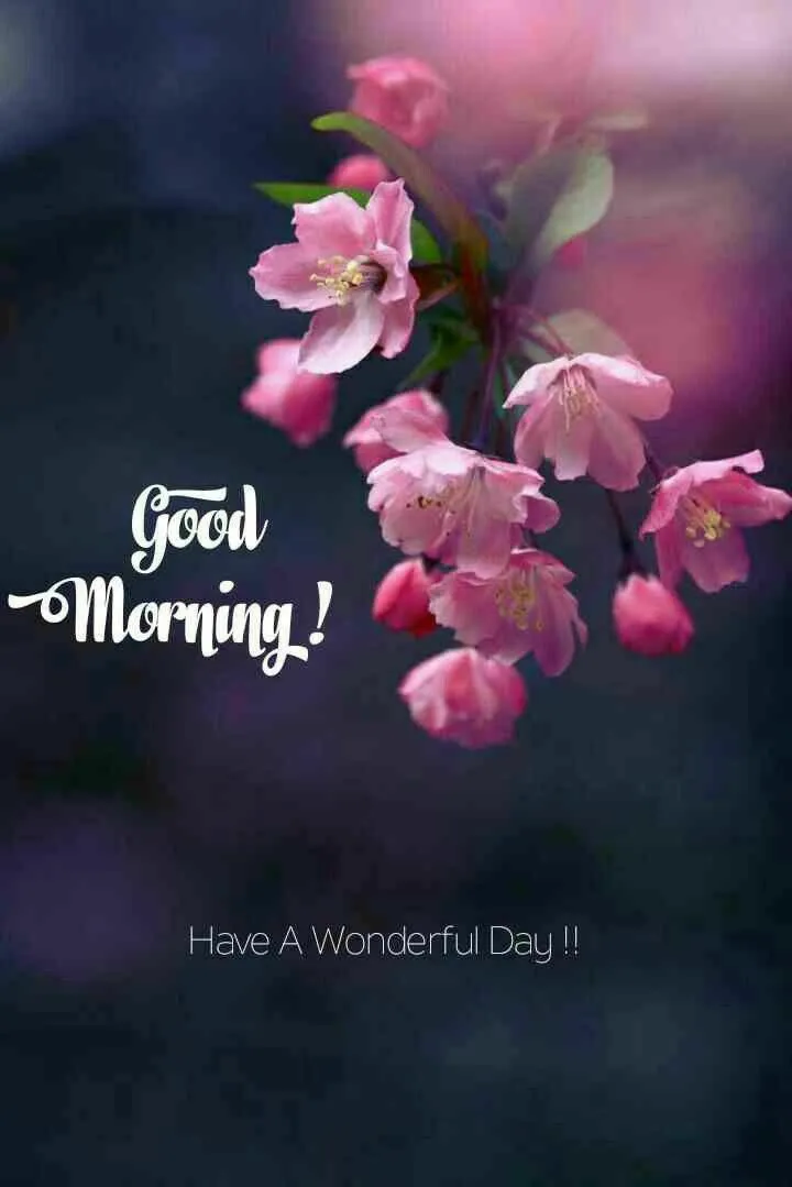 Purple Flowers Glowing with Warm Good Morning Text