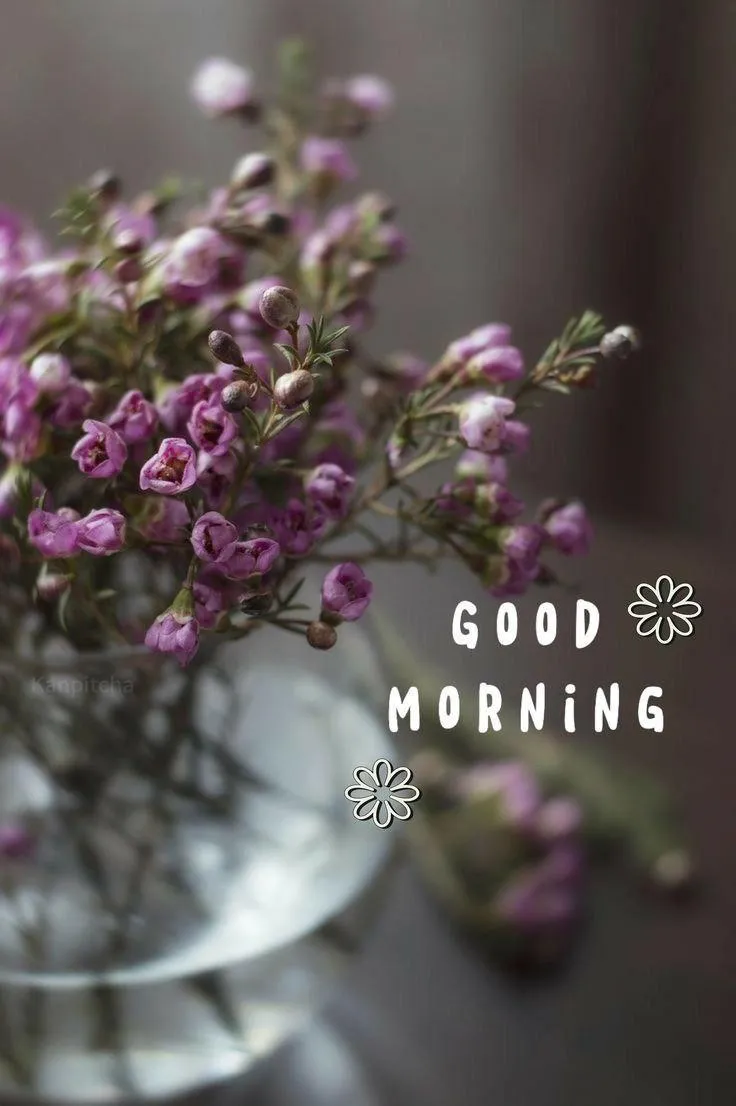 Purple Flowers with Good Morning Text Free Wallpaper