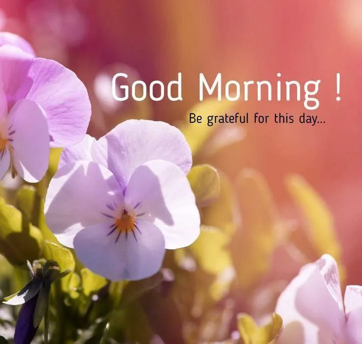 Purple Orchid Flowers with Good Morning Text Wallpaper