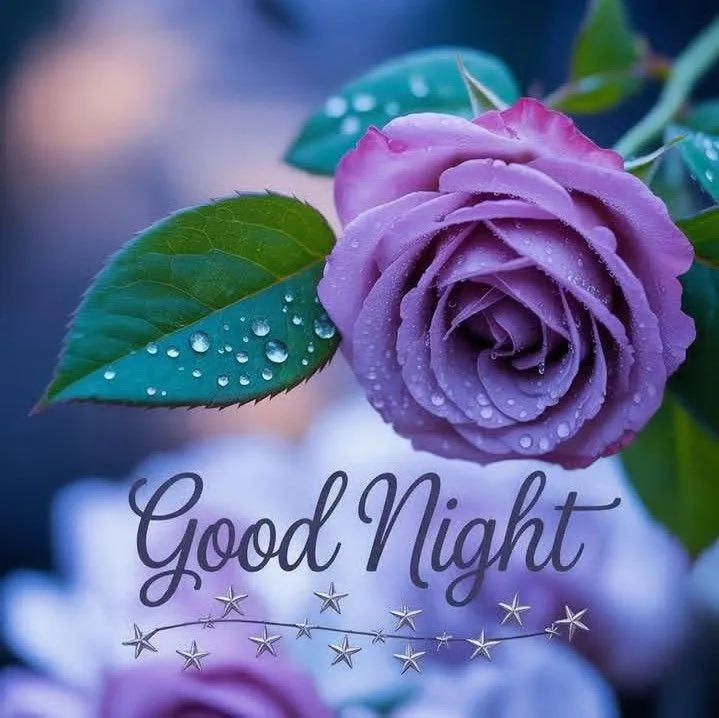 Purple Rose and Moon Image with Peaceful Thoughts Image