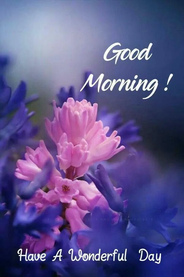 Purple Sparkling Flower Image for Good Morning Wallpaper