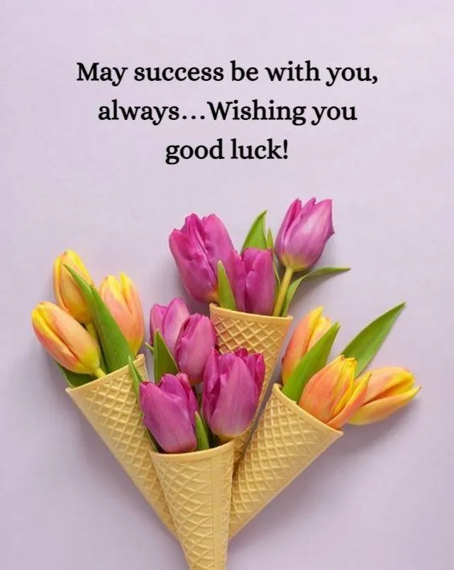 Purple Tulips with Uplifting Morning Message Image