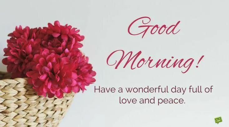 Red Blossoms with Artistic Font and Positive Message