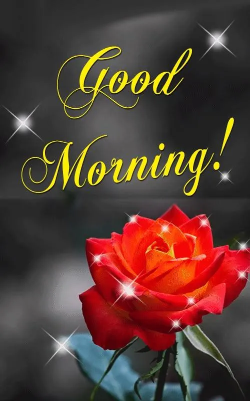 Red Flower and Bold Text for a Powerful Morning Boost