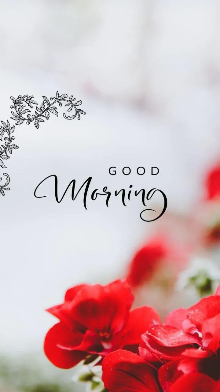 Red Flower and Greeting Card Saying Good Morning Wallpaper