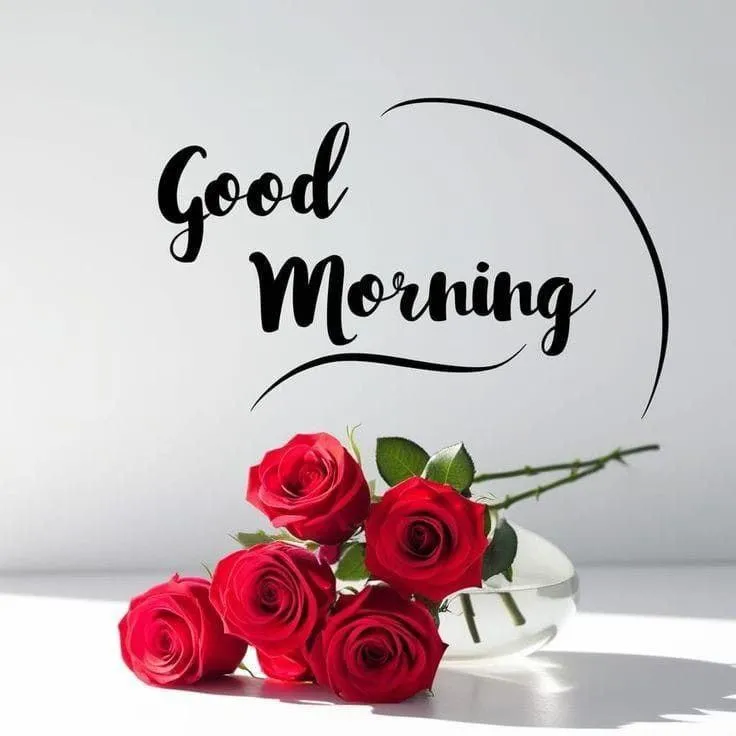 Red Flowers and Soft Grey Tone Greeting Free Hd Wallpaper